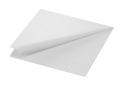Stalo servetėlės Duni Ecoecho 40x40cm, 2sl. pop., baltos,125vnt.