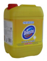 Valymo-dezinfekavimo priemonė Domestos Citrus Fresh, 5l