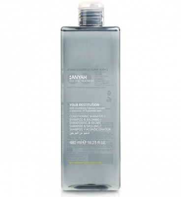 Kondicionierius plaukams Anyah, 480ml